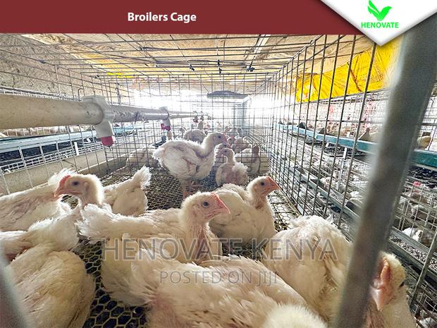 Reliable Broilers Cage With (One Year Warranty) - thumbnail 4