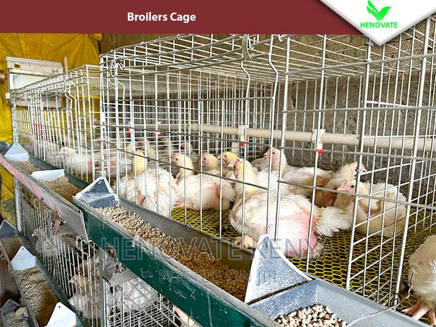 Reliable Broilers Cage With (One Year Warranty) - thumbnail 2