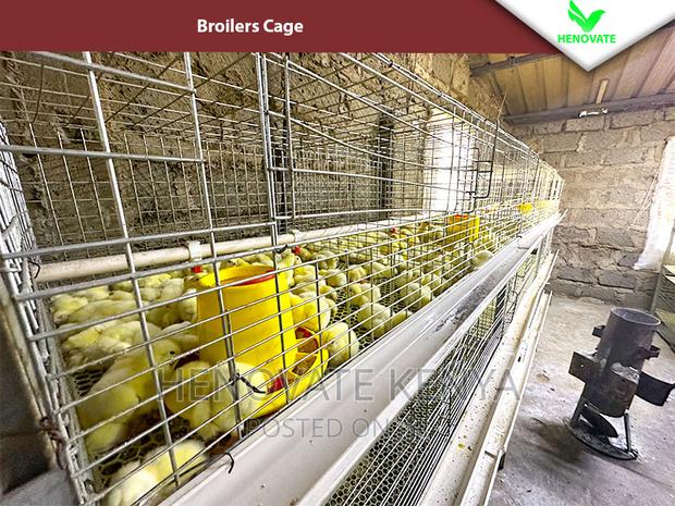 Reliable Broilers Cage With (One Year Warranty) - thumbnail 5