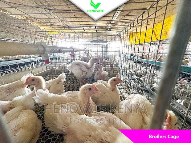 Best Broiler Cage(Try This Today)Saves Space - thumbnail 4