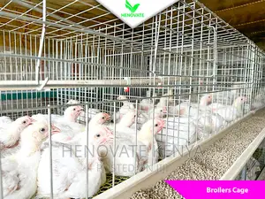 Best Broiler Cage(Try This Today)Saves Space
