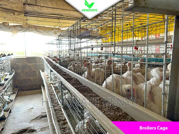 Best Broiler Cage(Try This Today)Saves Space - main view