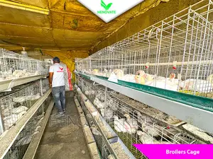 Best Broiler Cage(Try This Today)Saves Space