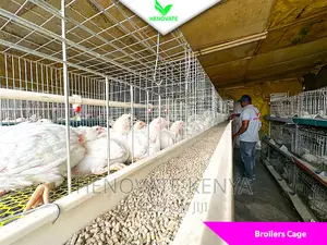 Best Broiler Cage(Try This Today)Saves Space