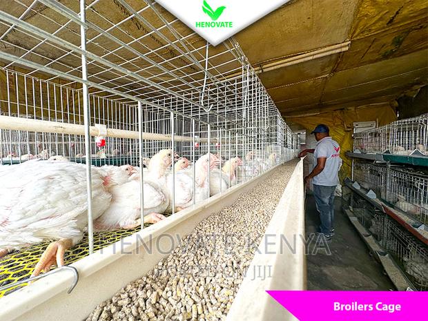 Best Broiler Cage(Try This Today)Saves Space - thumbnail 3