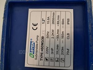 EASTEN Water Pump Motor 3hp 200M Head - thumbnail 2