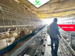 Broiler Cage With Best Price Ever.Saves Space.