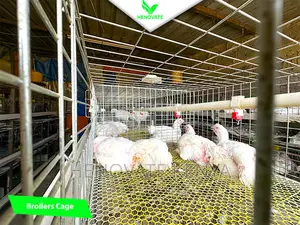 Broiler Cage System in Kenya(Saves Space)In Ruiru Kiambu