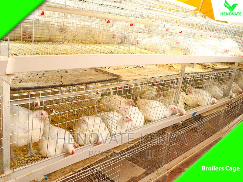 Cool And Best IMPROVED KIENYEJI/Broiler Cage (Available