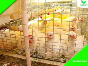 Cool And Best IMPROVED KIENYEJI/Broiler Cage (Available