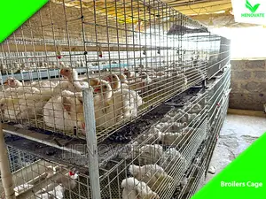 Cool And Best IMPROVED KIENYEJI/Broiler Cage (Available