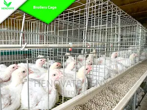 Reliance Poultry BROILER Cages in Kenya With Quality Feeders