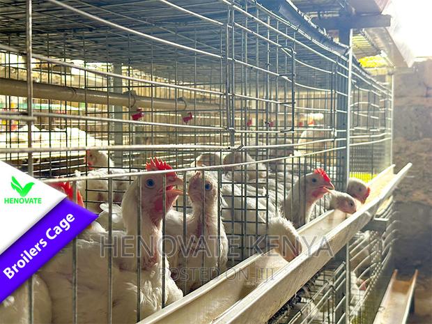 Poultry BROILER Cages(Saves Space) in Ruiru - thumbnail 4