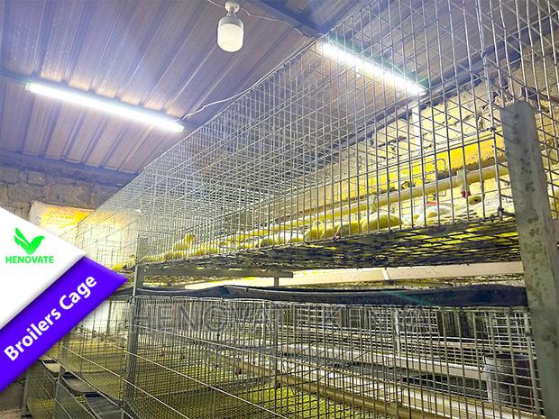 Poultry BROILER Cages(Saves Space) in Ruiru - thumbnail 6
