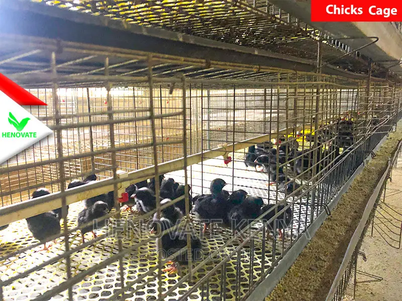 Layer Baby Chick Cages For Sale(Brand New