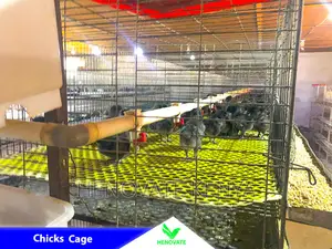 Cheap and Easy Battery Cage System in Kenya