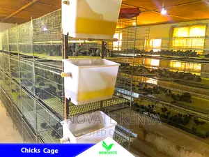 Cheap and Easy Battery Cage System in Kenya