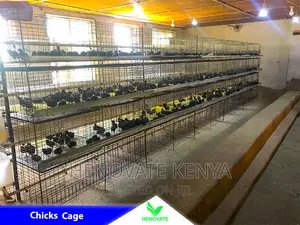 Cheap and Easy Battery Cage System in Kenya