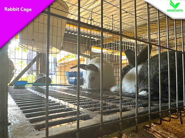 Rabbit Cages in Kenya Now Availble - thumbnail 2