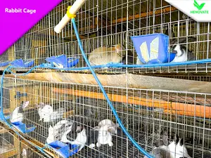 Rabbit Cages in Kenya Now Availble