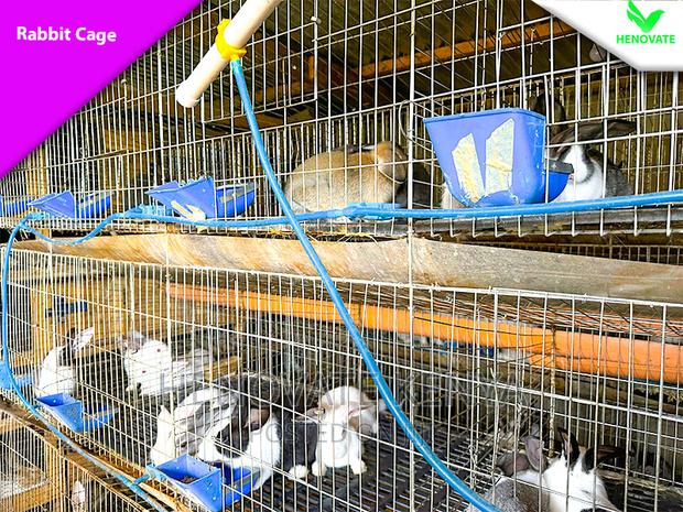 Rabbit Cages in Kenya Now Availble - thumbnail 4