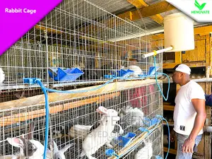 Rabbit Cages in Kenya Now Availble
