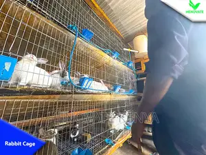 Rabbit Cages With Feeders Drinkers in Kenya With One Year Wa