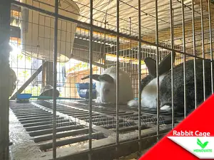 Galvanized Wire Breeding Rabbit Cage