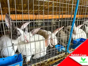 Galvanized Wire Breeding Rabbit Cage