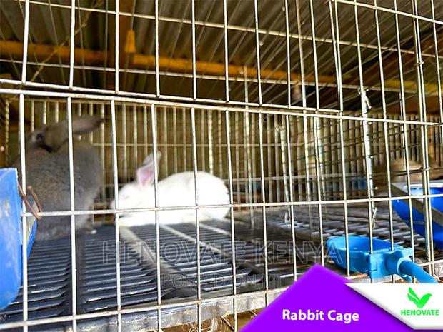 Easy Clean Rabbit Cage In Kenya(Saves Space)Available - thumbnail 4