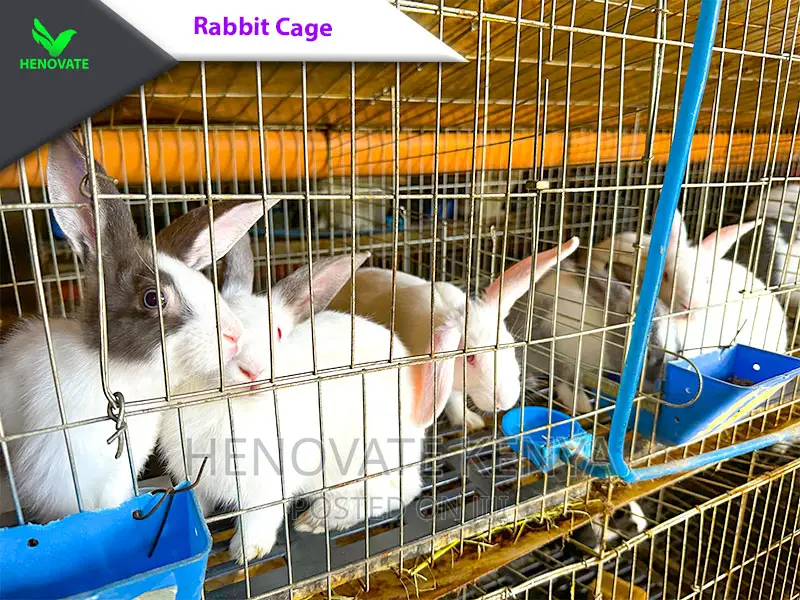 Easy Clean Rabbit Cage In Kenya(Saves Space)Available