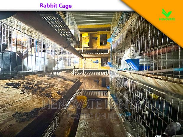 Rabbit Farming Cages - thumbnail 4