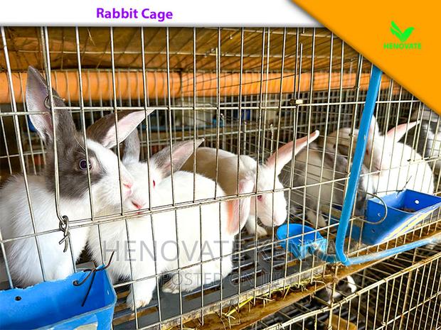 Rabbit Farming Cages - thumbnail 5