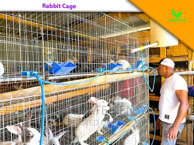 Rabbit Farming Cages