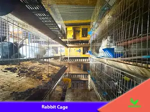 Rabbit (Cage in Kenya Farm.)Brand New