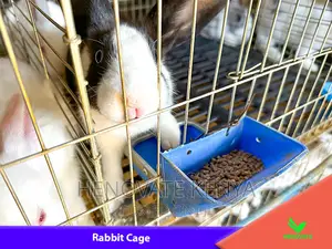 Rabbit (Cage in Kenya Farm.)Brand New