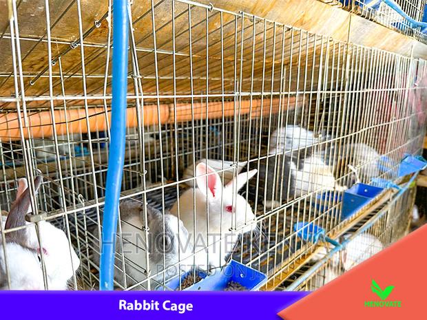 Rabbit (Cage in Kenya Farm.)Brand New - thumbnail 5
