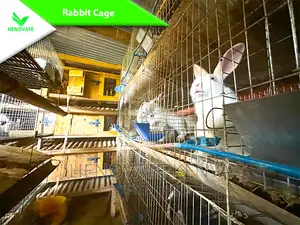 Rabbit Cages With Feeders in Kenya One Year Warranty