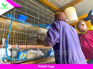 Rabbit Cage(Brand New) Made With Galvanized One Year Warrant