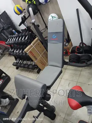 Heavy Duty Bench Incline/Decline Preacher Curl Leg Extension