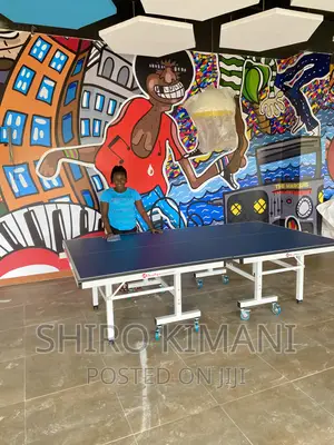 Table Tennis Best Quality