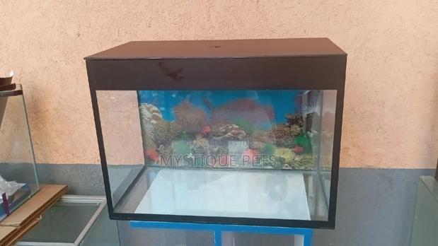 Locally Made Aquarium - main view