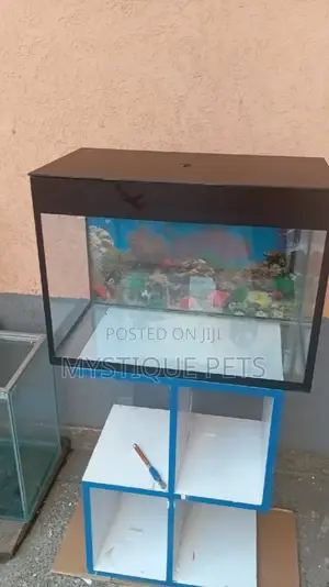 Locally Made Aquarium