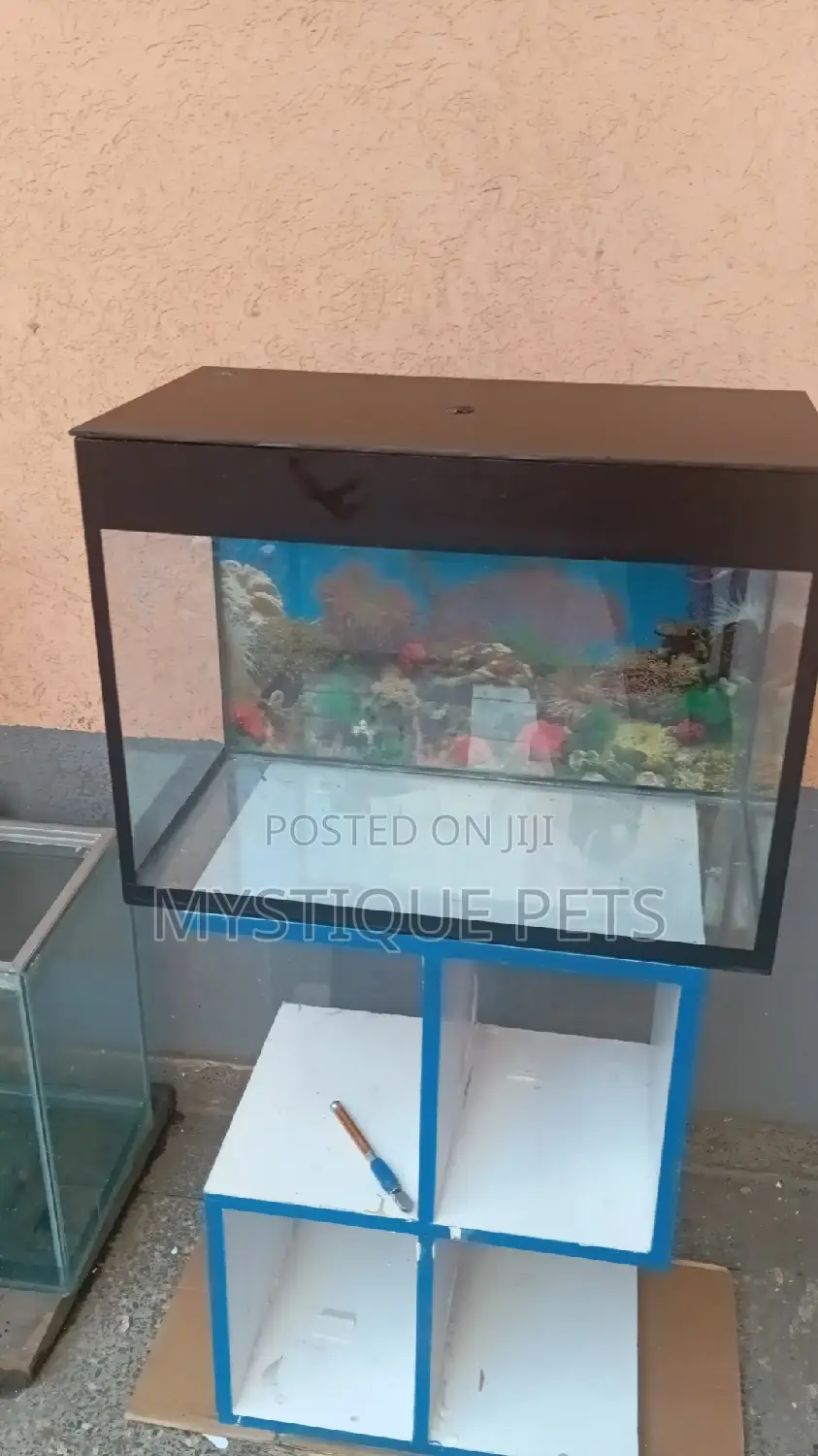 Locally Made Aquarium