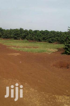 300 Acres in Kimbo Kiganjo Rd 10m Pa