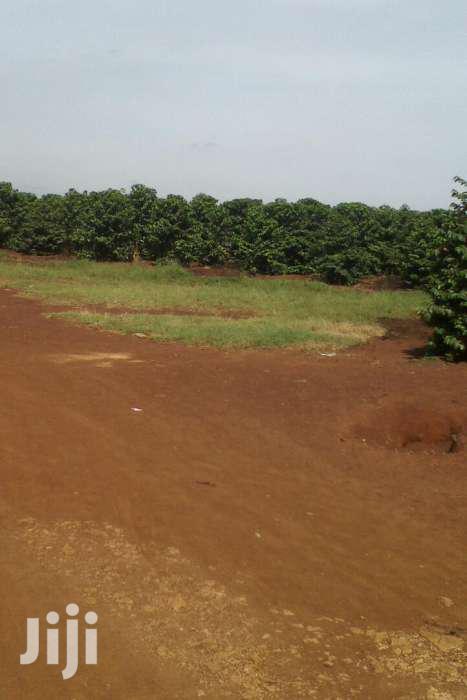 300 Acres in Kimbo Kiganjo Rd 10m Pa