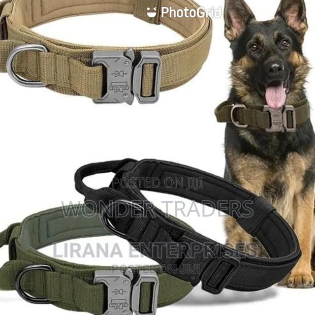 Tactica Large Dog Collars - main view