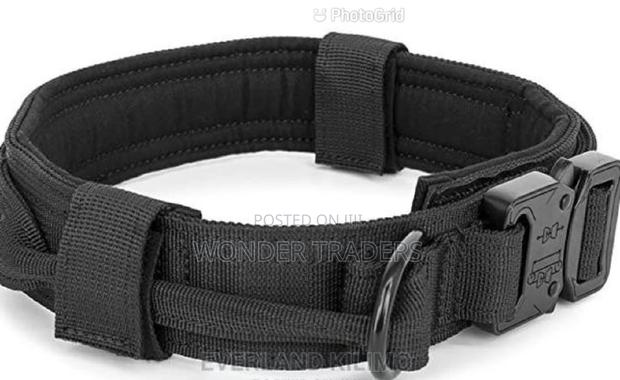 Tactica Large Dog Collars.