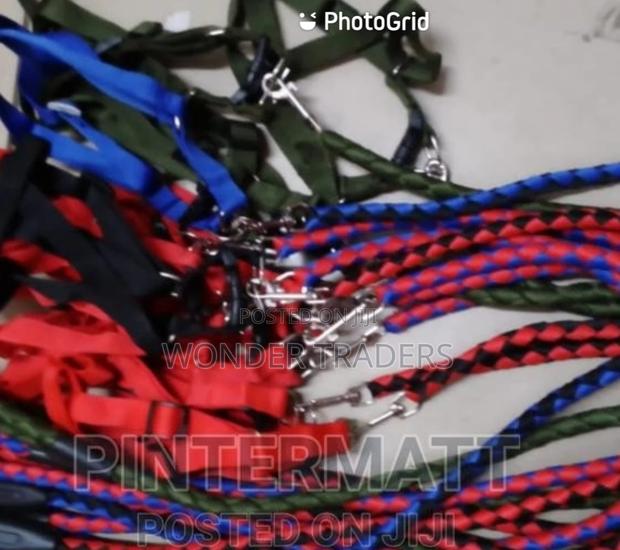 Dog Leash,Dog Leash, Dog Leash