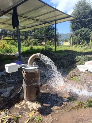 Borehole Solar With Submersible Pumps and Solar Panels
